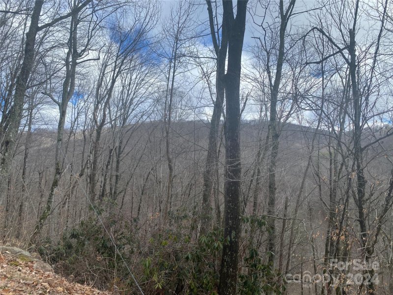 Property image 5 at Tbd Fox Den Road, Mars Hill, NC 28754