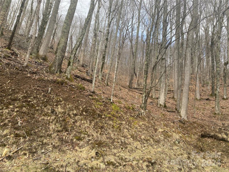 Property image 2 at Tbd Spring Valley Drive, Mars Hill, NC 28754