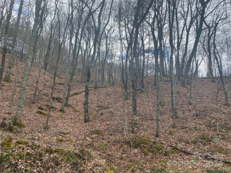 Property image 4 at Tbd Spring Valley Drive, Mars Hill, NC 28754