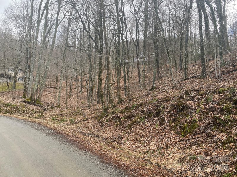 Property image 5 at Tbd Spring Valley Drive, Mars Hill, NC 28754