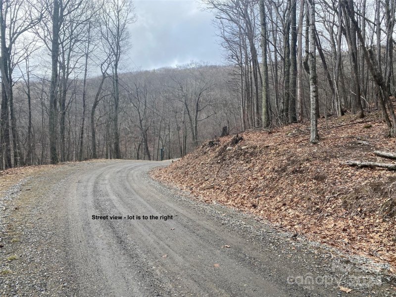 Property image 2 at Tbd Hamlin Lane, Mars Hill, NC 28754