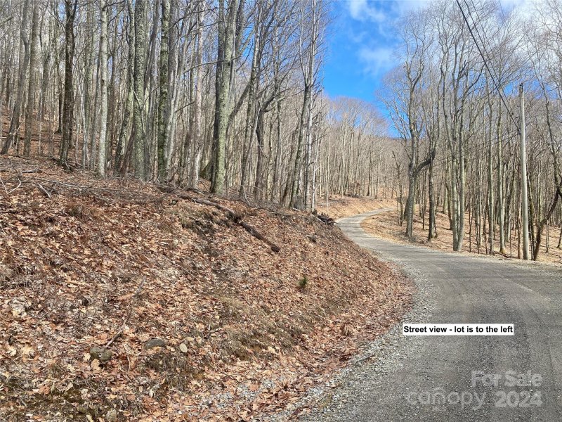 Property image 3 at Tbd Hamlin Lane, Mars Hill, NC 28754