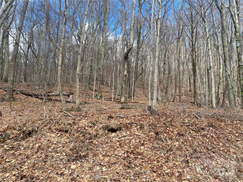Property image 4 at Tbd Hamlin Lane, Mars Hill, NC 28754