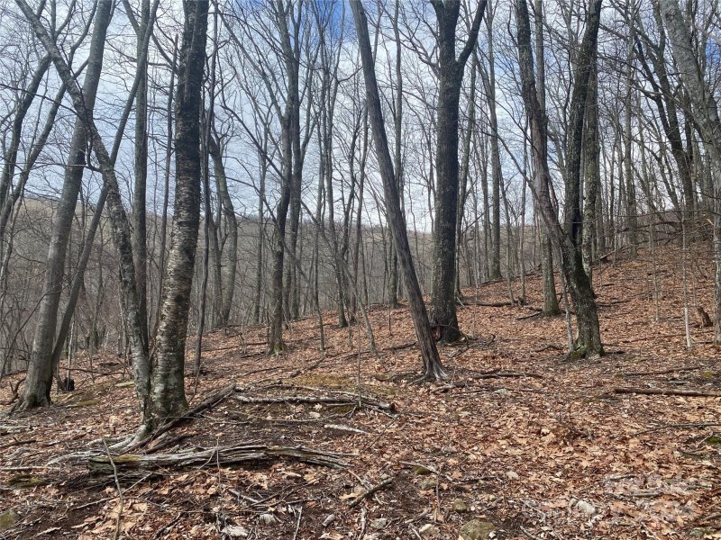 Property image 5 at Tbd Hamlin Lane, Mars Hill, NC 28754