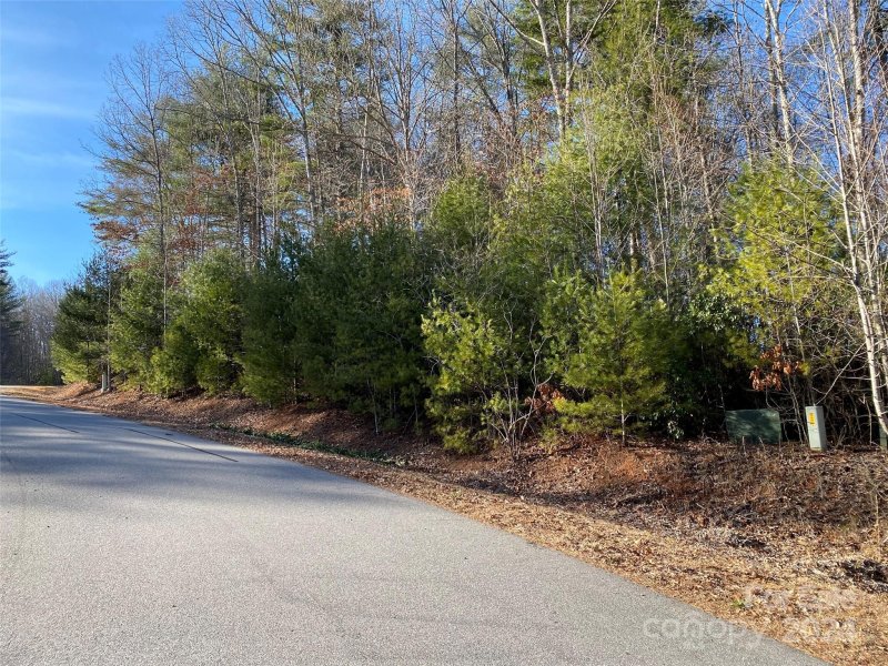 Property image 2 of L2 Oxford Court in Chasewood, Brevard, NC 28712