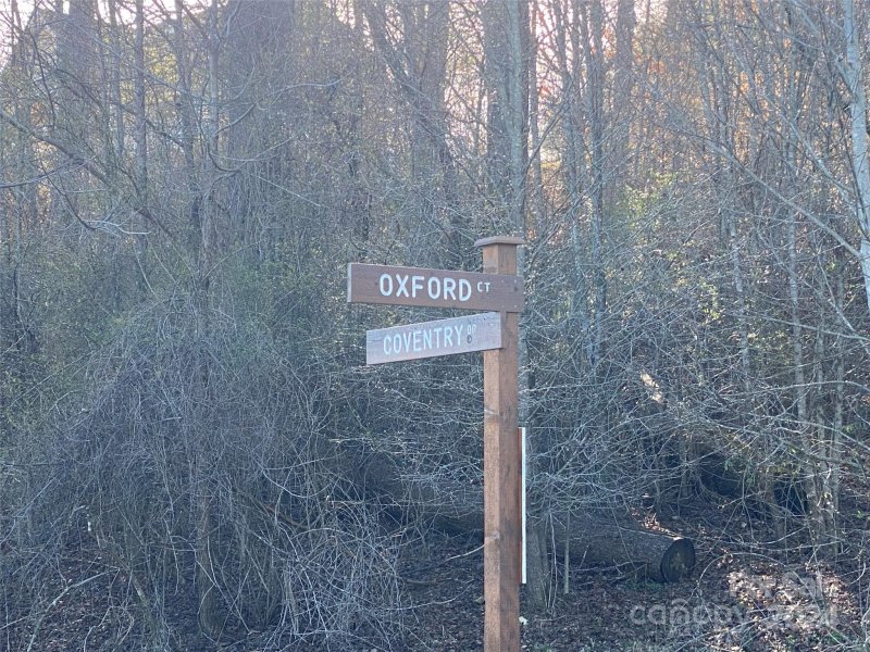 Property image 3 of L2 Oxford Court in Chasewood, Brevard, NC 28712