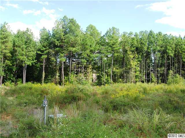 Property image 3 at Lot 8 Little Cove Lane, Lake Wylie, SC 29710