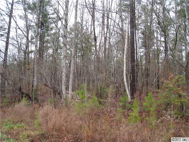 Property image 5 at 4041 River Oaks Road, Lake Wylie, SC 29710