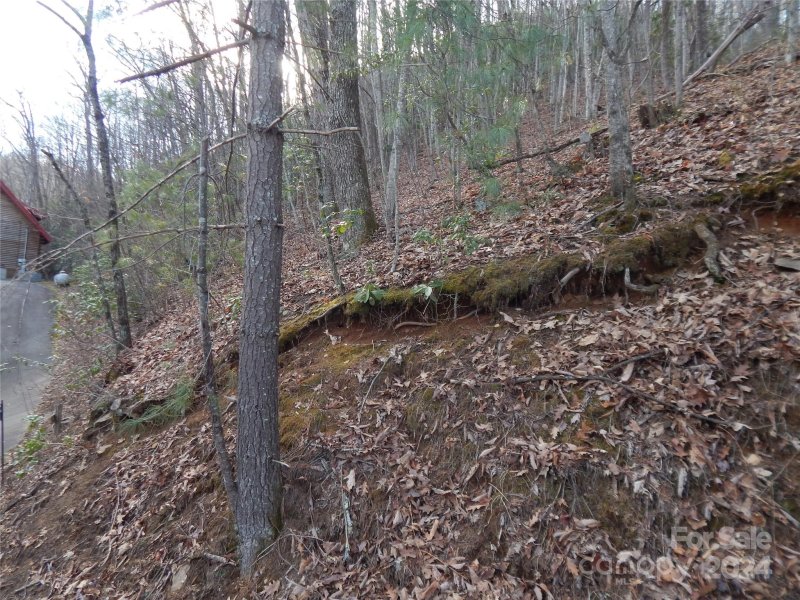 Property image 2 of 00 Hoot Owl Bill Road in Smoky Falls, Maggie Valley, NC 28751