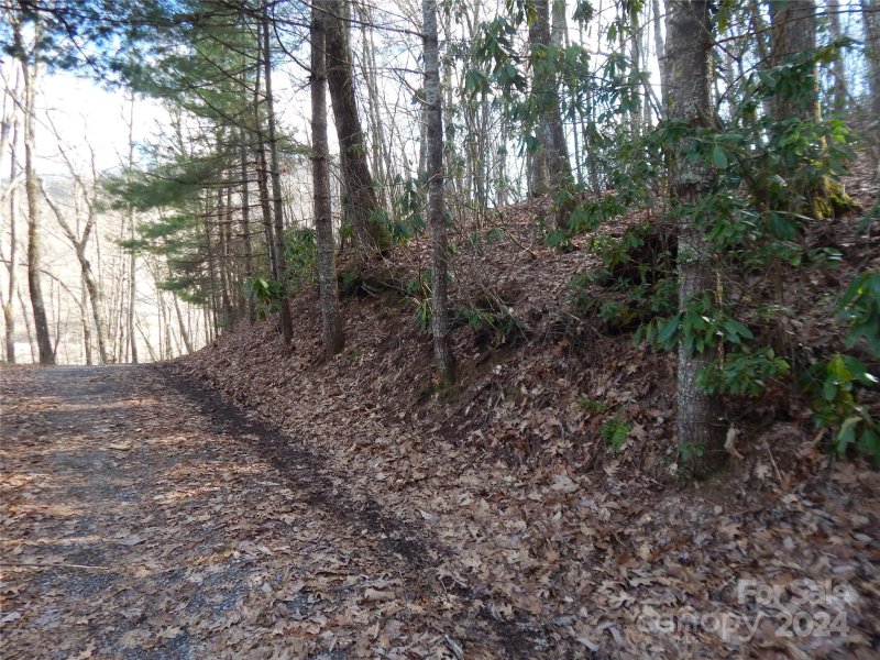 Property image 3 of 00 Hoot Owl Bill Road in Smoky Falls, Maggie Valley, NC 28751