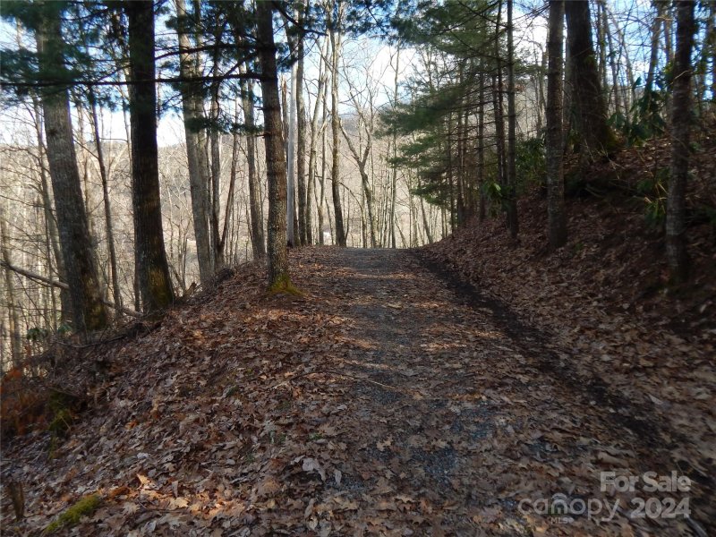 Property image 4 of 00 Hoot Owl Bill Road in Smoky Falls, Maggie Valley, NC 28751