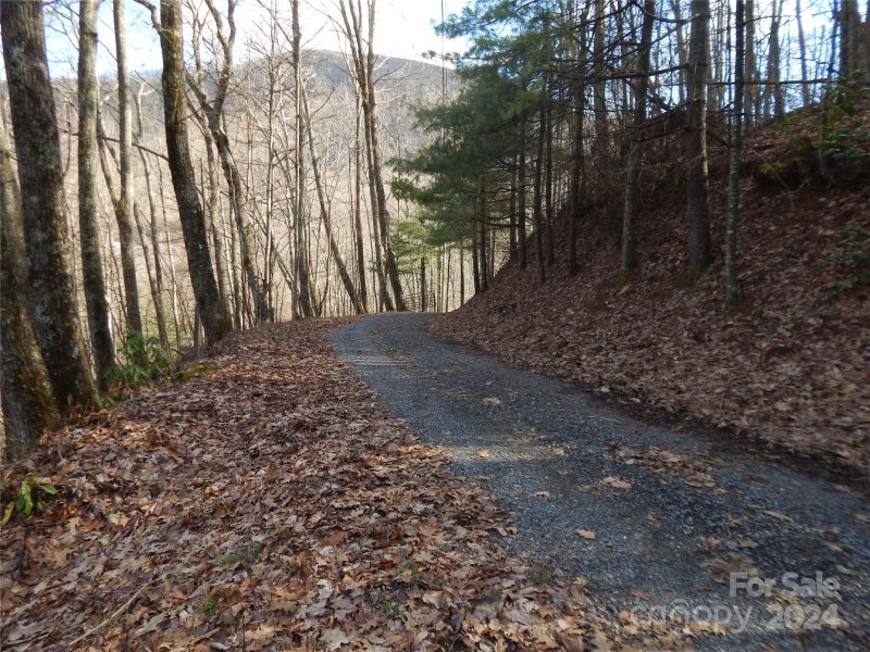 Property image 5 of 00 Hoot Owl Bill Road in Smoky Falls, Maggie Valley, NC 28751