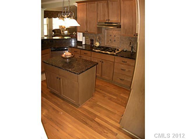 Property image 3 at 14120 Lea Point Court, Huntersville, NC 28078
