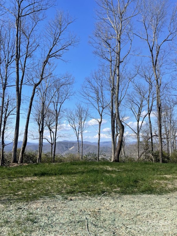 Property image 3 at 0000 Hemlock Grove Trail, Hendersonville, NC 28792