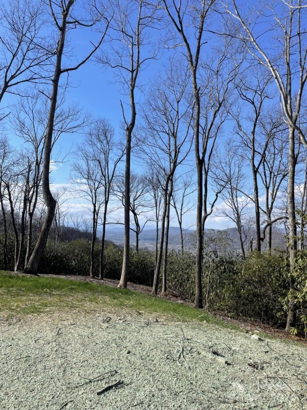 Property image 4 at 0000 Hemlock Grove Trail, Hendersonville, NC 28792