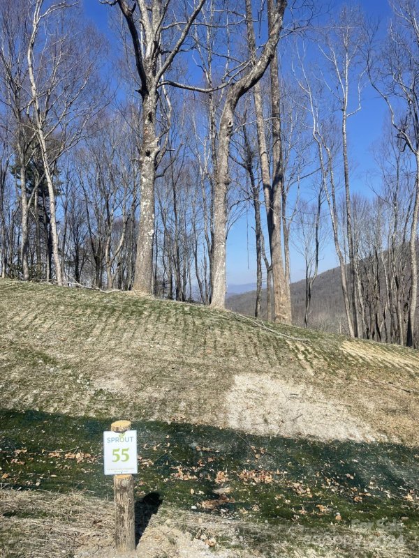 Property image 2 at 0000 West Garden Trail, Hendersonville, NC 28792