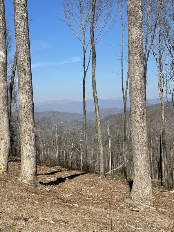 Property image 3 at 0000 West Garden Trail, Hendersonville, NC 28792