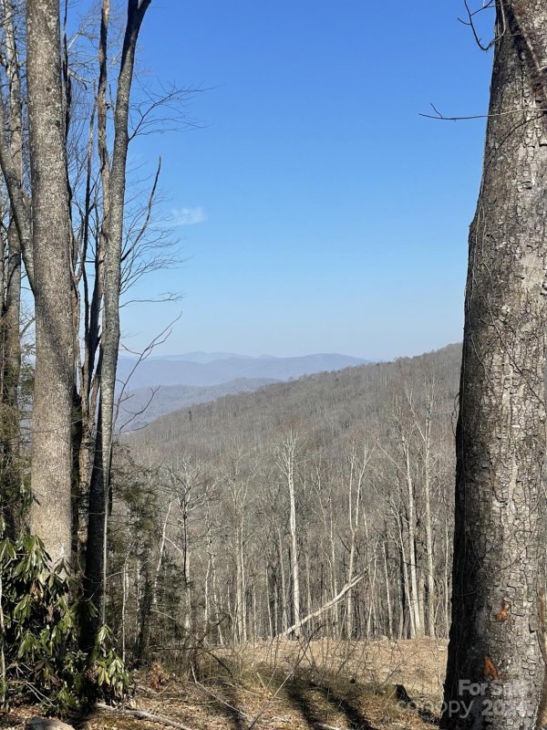 Property image 4 at 0000 West Garden Trail, Hendersonville, NC 28792