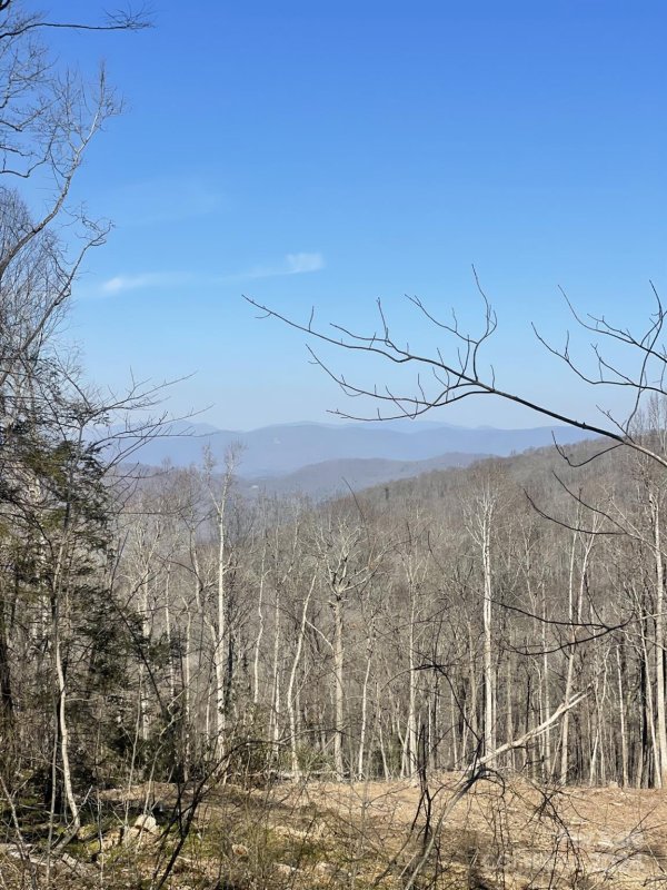 Property image 5 at 0000 West Garden Trail, Hendersonville, NC 28792