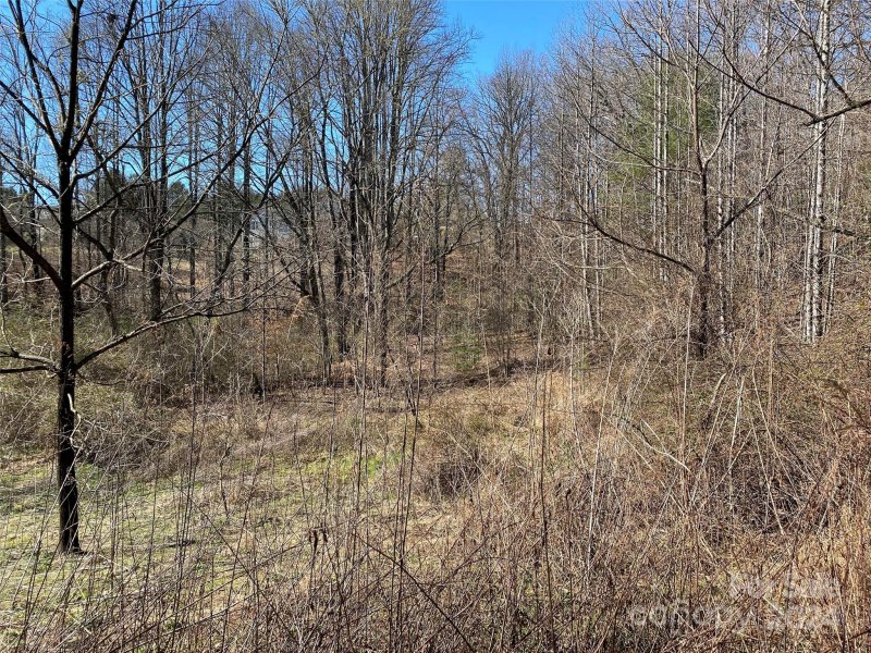 Property image 2 at L13r Londonderry Circle, Brevard, NC 28712