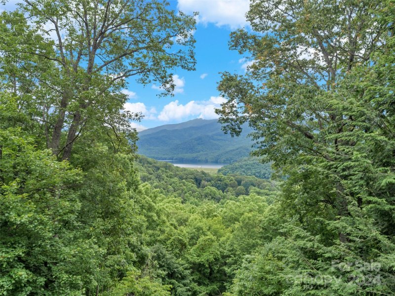 Property image 4 at 18 Great Aspen Way, Black Mountain, NC 28711