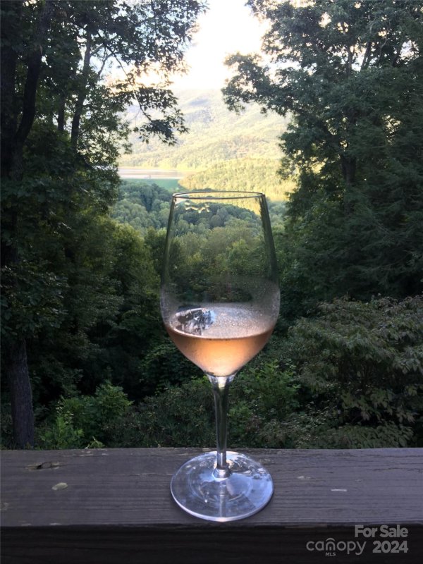 Property image 5 at 18 Great Aspen Way, Black Mountain, NC 28711