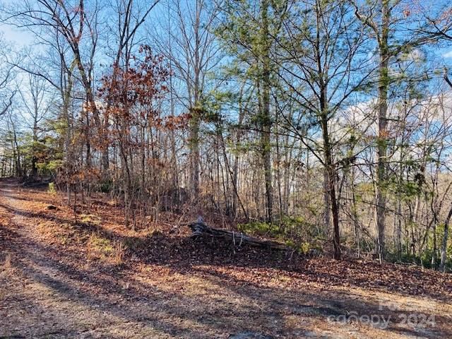 Property image 3 at 342 Sasafras Ridge, Rutherfordton, NC 28139