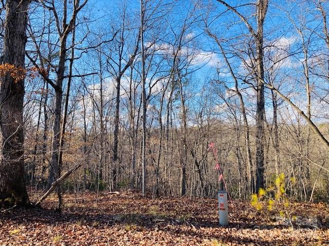 Property image 5 at 342 Sasafras Ridge, Rutherfordton, NC 28139