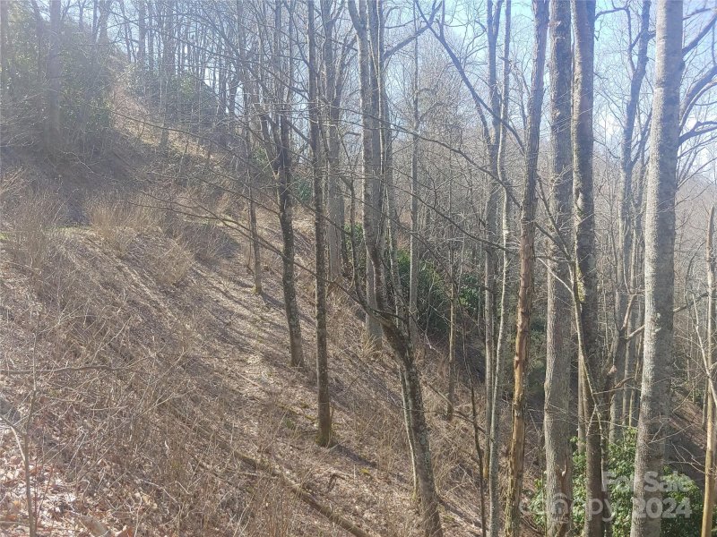 Property image 2 of 38 Barn Cove Road in Hurricane Ridge Ltd, Clyde, NC 28721