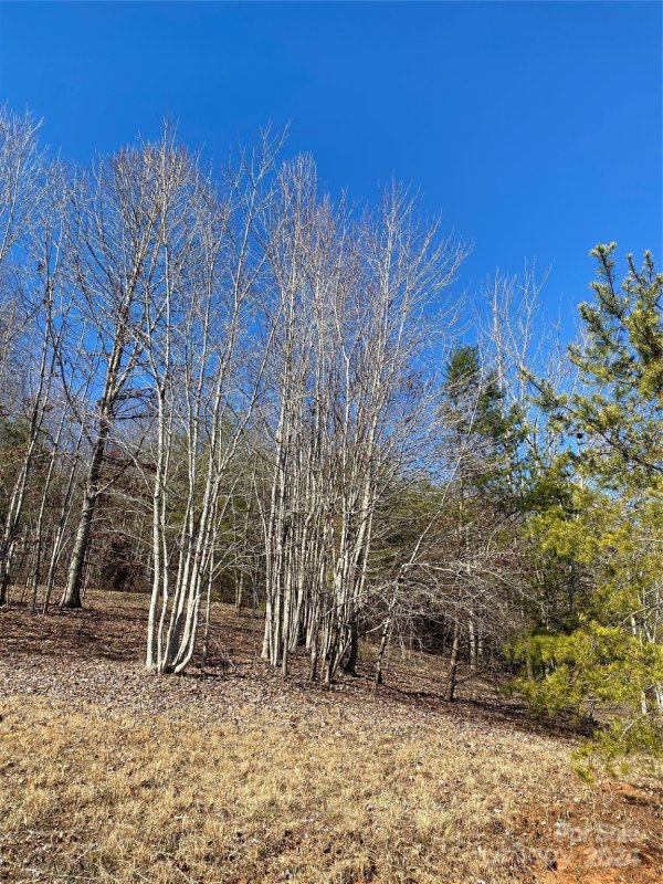 Property image 5 at Tbd Mentinck Drive, Nebo, NC 28761