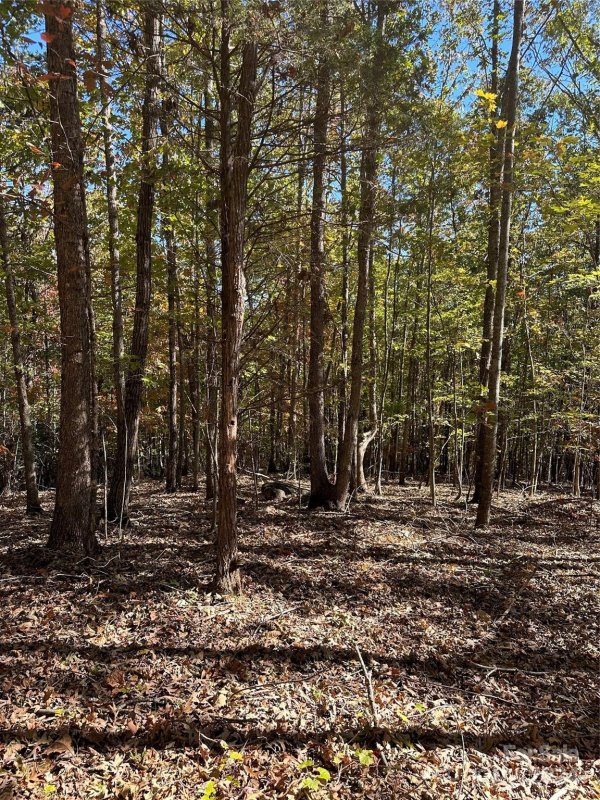 Property image 2 at 0 Luckadoo Mountain Road, Bostic, NC 28018