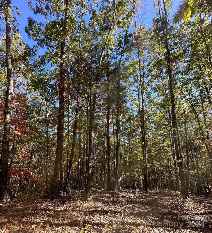 Property image 3 at 0 Luckadoo Mountain Road, Bostic, NC 28018