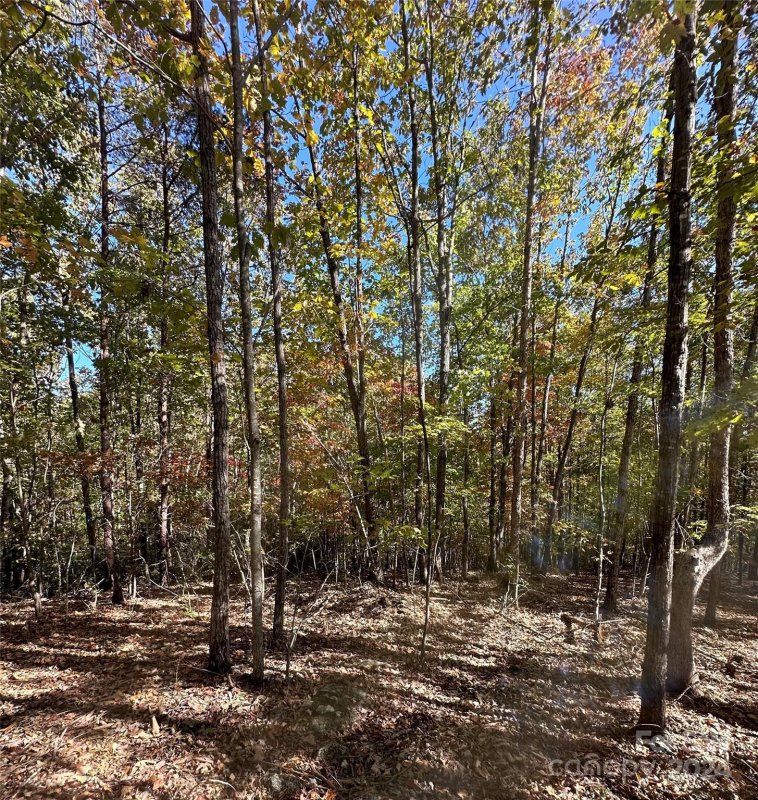 Property image 5 at 0 Luckadoo Mountain Road, Bostic, NC 28018