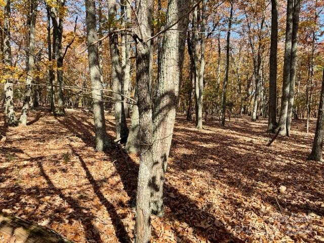 Property image 3 at 136 Tor Court, Denton, NC 27239