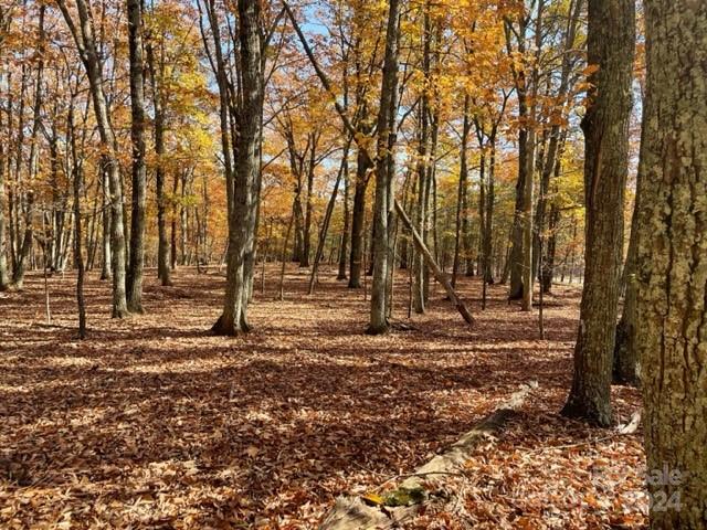 Property image 4 at 136 Tor Court, Denton, NC 27239