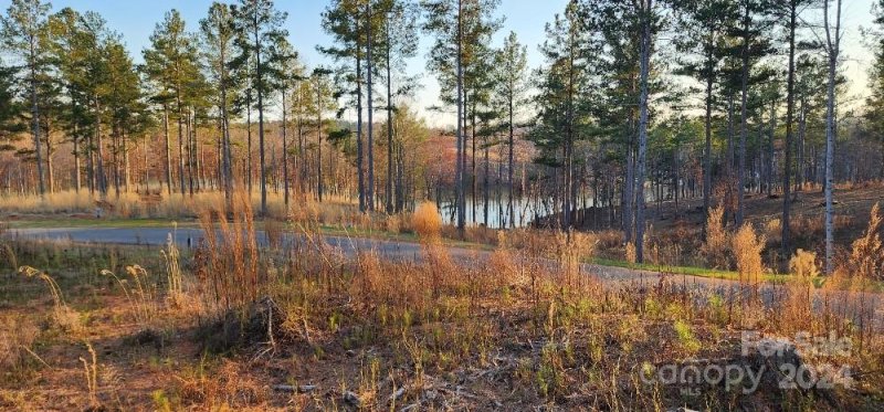 Property image 3 at 2225 Princeton Mountain None, Connelly Springs, NC 28612