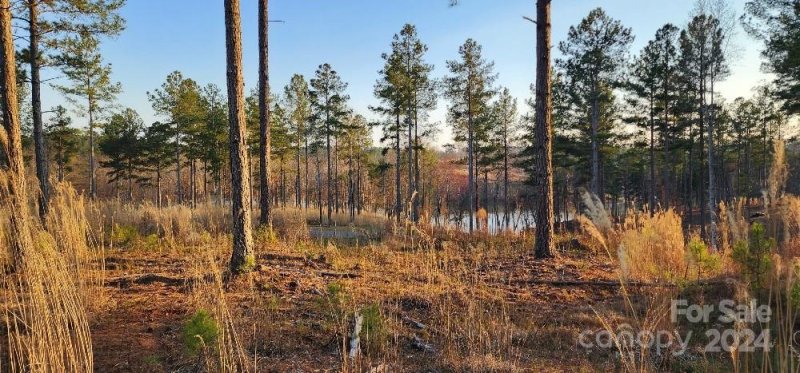 Property image 4 at 2225 Princeton Mountain None, Connelly Springs, NC 28612