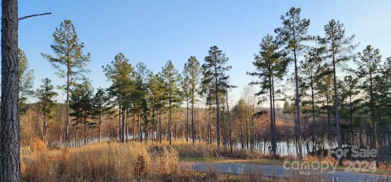 Property image 5 at 2225 Princeton Mountain None, Connelly Springs, NC 28612