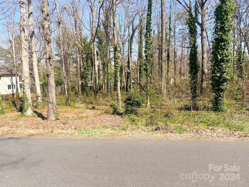 Property image 3 at 239 E Gleneagles Road, Statesville, NC 28625