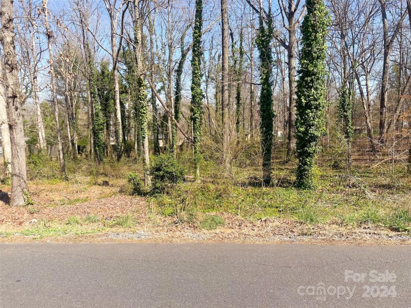 Property image 4 at 239 E Gleneagles Road, Statesville, NC 28625