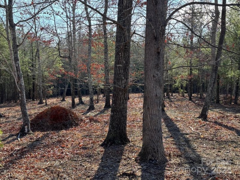 Property image 4 at 305 Bear Cliff Way, Lake Lure, NC 28746