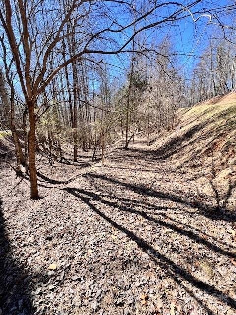 Property image 3 at 34 1 Lake Ridge Drive, Bryson City, NC 28713