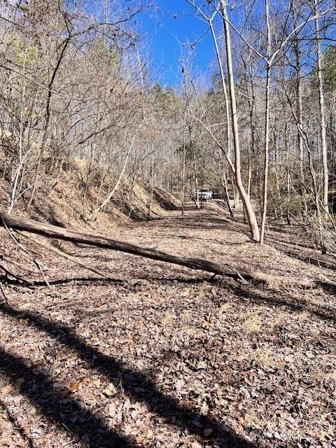 Property image 4 at 34 1 Lake Ridge Drive, Bryson City, NC 28713