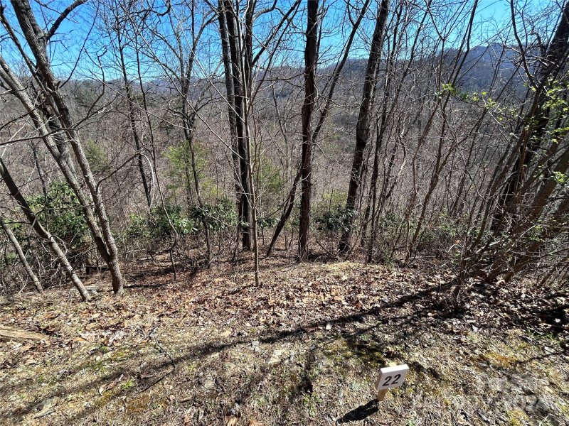 Property image 2 of 275 Overlook Lane in Big Laurel Mountain, Marshall, NC 28753