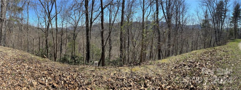 Property image 3 of 275 Overlook Lane in Big Laurel Mountain, Marshall, NC 28753