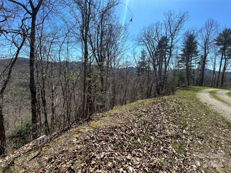 Property image 4 of 275 Overlook Lane in Big Laurel Mountain, Marshall, NC 28753