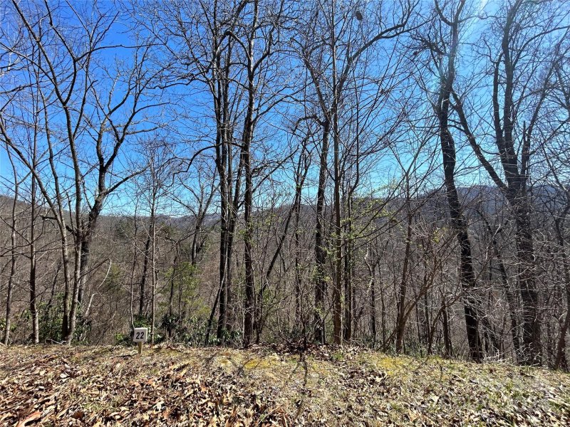 Property image 5 of 275 Overlook Lane in Big Laurel Mountain, Marshall, NC 28753