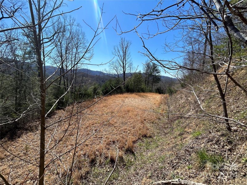 Property image 3 at 276 Overlook Lane, Marshall, NC 28753