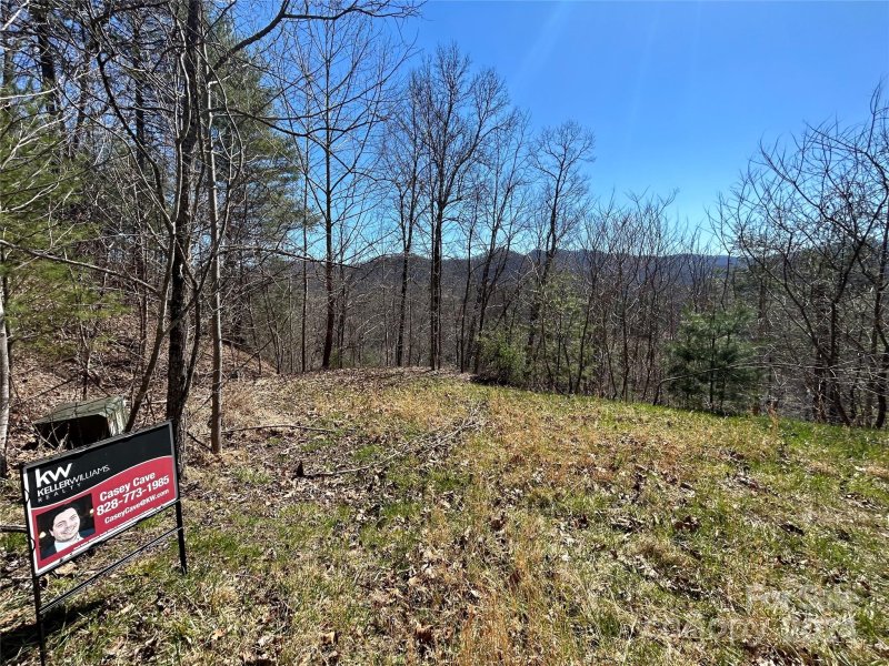 Property image 3 at 9999 Overlook Lane, Marshall, NC 28753