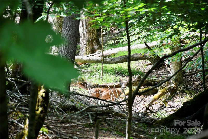 Property image 2 at 102 Blackberry Trail, Beech Mountain, NC 28604